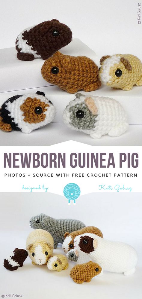 Crocheted Stuffed Animals, Crocheted Animals, Crochet Pig, Easy Crochet Animals, Quick Crochet Patterns, Crochet Animals Free Patterns, Crochet Design Pattern, Crochet Amigurumi Free Patterns, Beginner Crochet Projects