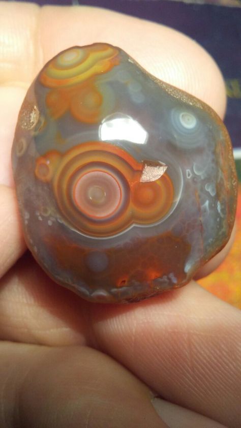 Lake Superior eye agate Minerals Crystals Stones, Eye Agate, Lake Superior Agates, Hag Stones, Geology Rocks, Rock And Pebbles, Pretty Rocks, Crystals Stones, Rock Collection