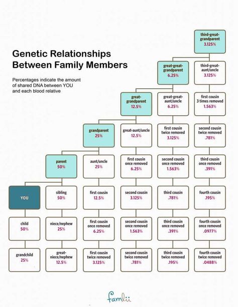 How Much DNA Do Family Members Share? (With Cousin Relationship Chart) - Famlii Family Relationship Chart, Cousin Relationships, Free Genealogy Sites, Family History Projects, Genealogy Organization, Relationship Chart, Family Tree Research, Genealogy Websites, Ancestry Family Tree