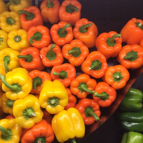 March Vibes, Orange Skin, Nutritional Value, Bell Peppers, Bright Orange, Peppers, Geography, Stuffed Bell Peppers, Holland