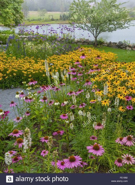 Southwest Harbor, Maine:  Flowering gardens and pathways in the Charlotte Rhoades Park and Butterfly Garden Stock Photo Butterfly Garden Aesthetic, Southwest Harbor Maine, Southwest Garden, Meadow Garden, Sun Garden, Garden Types, Garden Park, Pollinator Garden, The Secret Garden