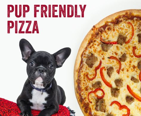 How to Make Puppy-Friendly Pizza - Giordanos Dog Friendly Pizza, Puppy Pizza Recipe, Pizza For Dogs Recipe, Dog Friendly Food Recipes, Pizza For Dogs, Dog Pizza Recipe, Dog Pizza, Pet Recipes, Pet Snacks