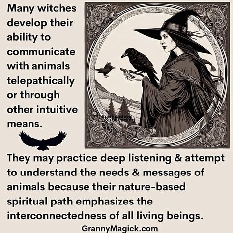 Witch Prayers, Happy Witches, Eclectic Spirituality, Artist Couple, Witch Things, Inner Witch, Animal Spirit Guides, Witch Stuff, Witch Spirituality