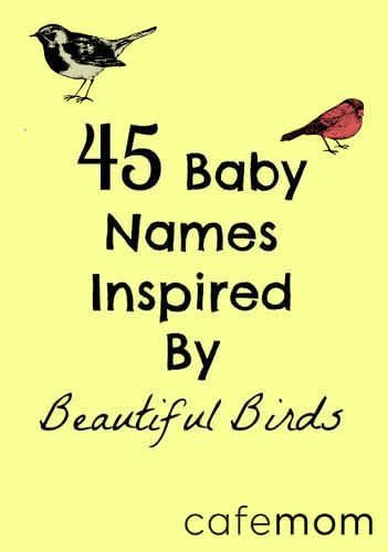 Choosing the perfect baby name is one of the most important decisions parents-to-be will make. Take a look at 45 amazing names inspired by beautiful birds. Bird Names, Baby Name Generator, Sweet Baby Names, Girls Names, Name Inspiration, Writing Characters, Unique Names, Baby Time, Everything Baby