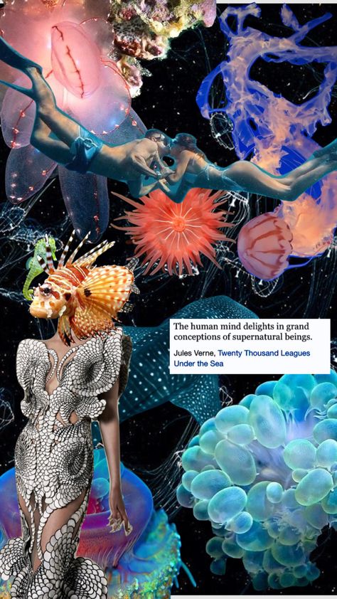 #aesthetic #collage #moodboard #aestheticmoodboard #water #deepsea #jellyfish #shark #anemone Jellyfish Moodboard, Jellyfish Collage, Sea Motifs, Aesthetic Oc, Shuffles Aesthetic, Collage Moodboard, Personal Investigation, Jellyfish Art, Water Life