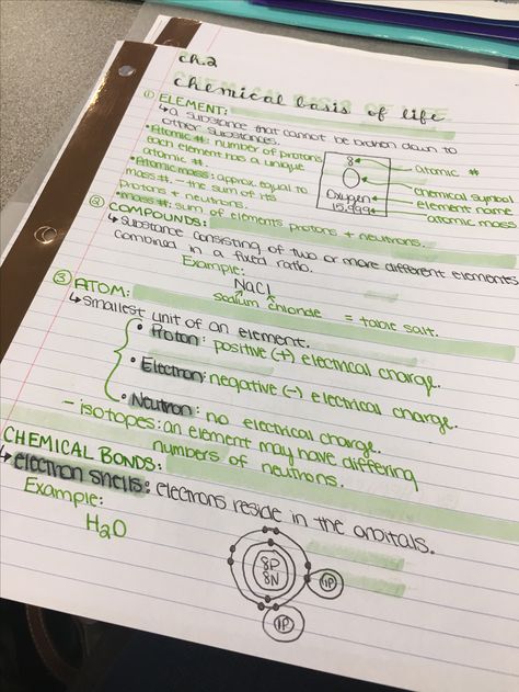 chemical basis of life // biology notes // colorful notes Ap Biology, Chemical Basis Of Life Notes, Life Notes, Colorful Notes, Indian Constitution, Science Notes, Biology Notes, Transcription, School Notes