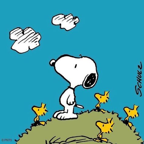 Snoopy and the birds Snoopy Watch, Woodstock Peanuts, Snoopy Comics, Peanuts Comic Strip, Peanuts Cartoon, Snoopy Wallpaper, Snoopy Quotes, Snoopy Pictures, Snoop Dog