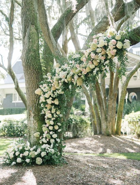 Imagine Getting Married Under a Floral Adorned Oak Tree #weddingdream #gettingmarried #floral #weddingflorals Oak Tree Wedding Ceremony, Tree Wedding Ceremony, Oak Tree Wedding, Mom Dresses, Wedding Flower Trends, Charleston Bride, Bride Floral, Floral Trends, Kiawah Island