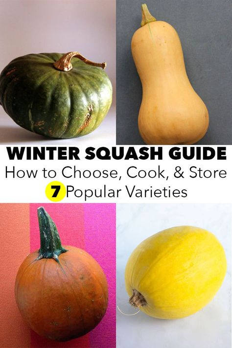 There are so many types of squash! This winter squash guide walks you through what you need to know about choosing, storing, and cooking common varieties. Different Types Of Squash Summer, How To Store Squash For Winter, Squash Varieties Chart, How To Cook Different Types Of Squash, Squash Varieties Types Of, Types Of Winter Squash, Pumpkin Varieties Chart, Types Of Squash Different, How To Cook Acorn Squash