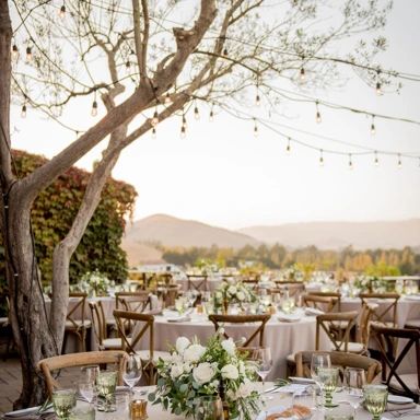 Winery Wedding Venues, Al Fresco Wedding, Italian Inspired Wedding, Sonoma Wineries, Sonoma Wedding, Wedding Types, Sonoma Valley, Napa Wedding, 60th Birthday Party