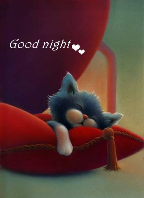 Good night beautiful!!! I'm off to sleepy town and hopefully up early for a walk to help de-stress. Sleep well and sweet dreams beautiful!!! Talk soon and LAB!!! Good Night Cat, Good Night Beautiful, Good Night Love Images, Cute Good Night, Slaap Lekker, Good Night Prayer, Good Night Friends, Time Pictures, Good Night Gif