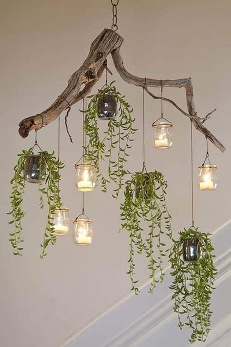 Takken Decor, Driftwood Chandelier, نباتات منزلية, Deco Nature, Dekor Diy, Kraf Diy, House Plants Decor, Hanging Plants, Plant Decor