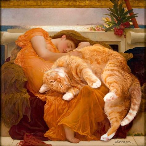 Fat orange cat. Fat Ginger Cat, Orange Cat Painting, Flaming June, Frederic Leighton, Fat Orange Cat, Cat Call, Slaap Lekker, Ginger Cat, Art Parody