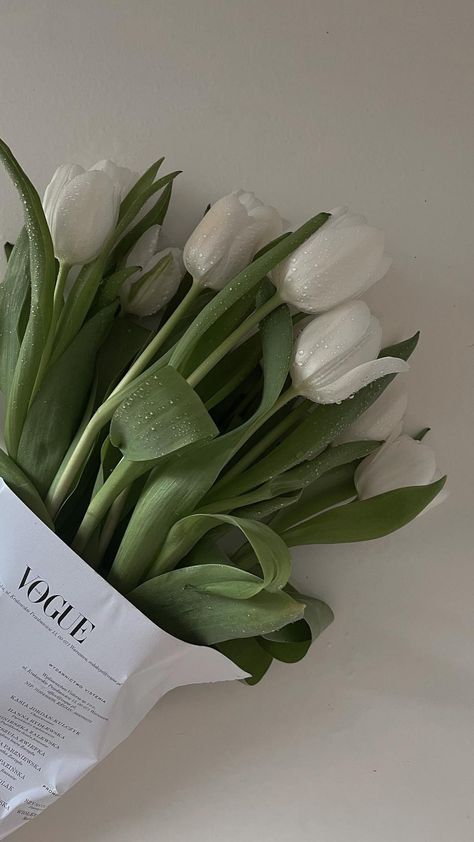 Clean White Wallpaper, Vintage Vision Board, Clean Phone Wallpaper, Opened Tulips, Simple Flower Aesthetic, Clean Girl Wallpaper, Tulips Aesthetic, Tulips Wallpaper, Mobil Design