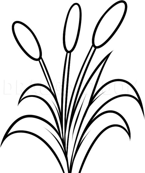 How To Draw Cattails, Step by Step, Drawing Guide, by Dawn | dragoart.com Tail Drawing, Draw Cat, Whimsical Art Journal, Art Photography Portrait, Drawing Guide, Punch Needle Patterns, Easy Coloring Pages, Cat Tail, Giant Paper Flowers