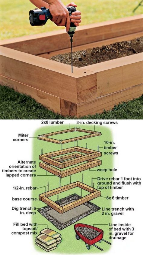 Raised Bed Garden Ideas, Bed Garden Ideas, Raised Garden Beds Diy Vegetables, Box Planters, Taman Diy, Garden Bed Layout, Raised Bed Garden, Building Raised Garden Beds, Building A Raised Garden