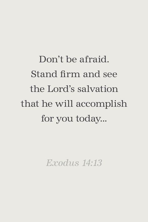 "Don’t be afraid. Stand firm and see the Lord’s salvation that he will accomplish for you today..." Exodus 14:13 Bible Verse For Salvation, Bible Verse About Salvation, Exodus Bible Verses, Exodus Verses, Exodus Quotes, Bible Verse Exodus, Torah Quotes, Exodus Bible, Aesthetic Bible