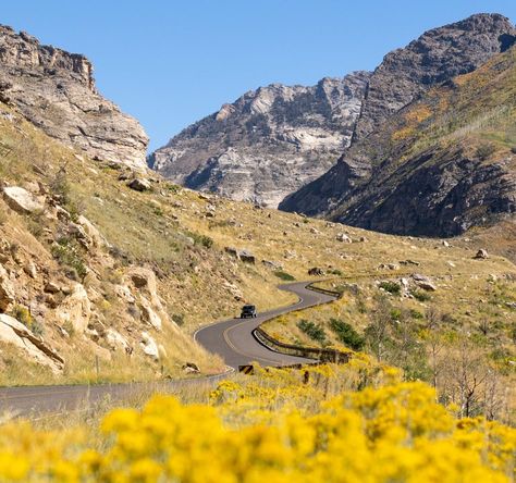 How to Get a Little Out There in Northern Nevada Ghost Towns, Northern Nevada, Nevada Travel, Reno Tahoe, Road Trip Routes, Canyon Road, Middle Of Nowhere, Outdoor Playground, Bike Trails