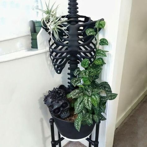 Skeleton Planter, Skeleton Rib Cage, Skeleton Flower, Skull Planter, Skull Candle Holder, Goth Garden, Pot Decoration, Skeleton Decorations, Black Lampshade