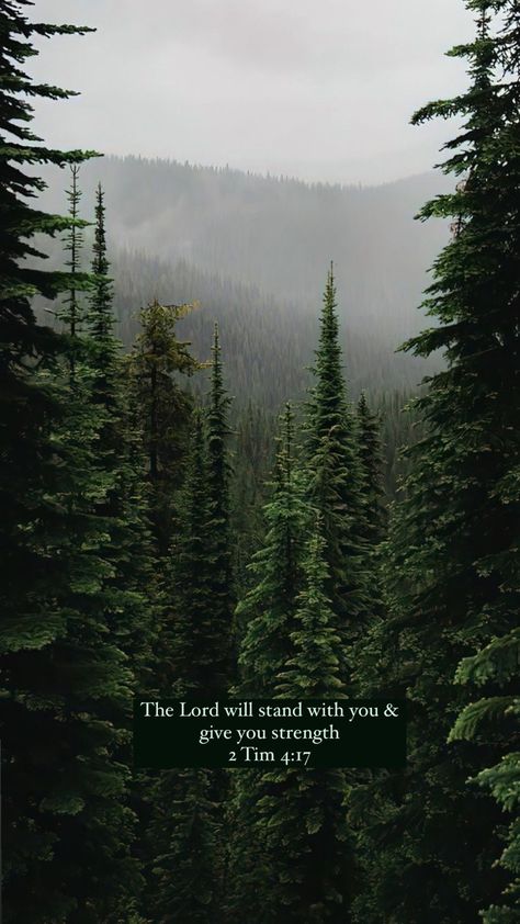 Job 34:32 Wallpaper, Bible Verse With Nature Background, Verses For Nonbelievers, Being Grounded Aesthetic, Bible Verse Hd Wallpaper, Earthy Christian Aesthetic, Bible Verse Wallpaper Dark Background, Nature Christian Wallpaper, Wallpaper Backgrounds Bible