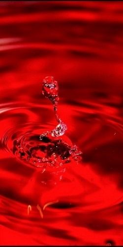 HAVE A NICE DAY Colors Of Fire, I See Red, Red Water, Simply Red, Blood Red, Red Wallpaper, Root Chakra, Red Aesthetic, Shades Of Red