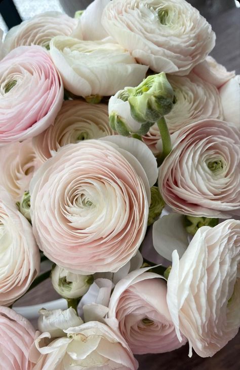 Pale Pink Flower Arrangements, Pale Pink And Cream Wedding, Pale Pink Ranunculus, Neutral Flowers Aesthetic, Ranculus Flowers Bouquet, Pink Ranunculus Bouquet, Pastel Pink Flowers, Pink Ranunculus, Pale Pink Flowers