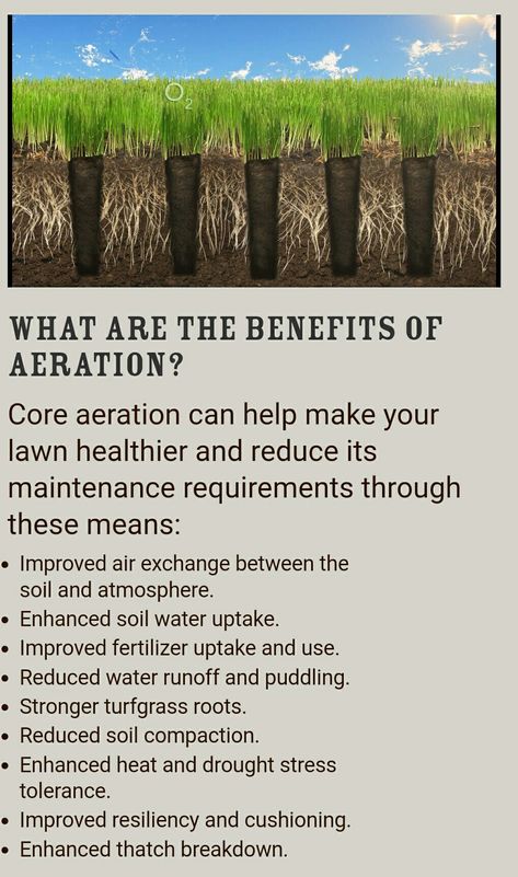 Benefits of lawn aeration. Mowing Business, Lawn Mowing Business, Lawn Aeration, Tree Facts, Lawn Care Flyers, Landscape Business, Lawn Care Schedule, Pergola Pictures, Lawn Care Business