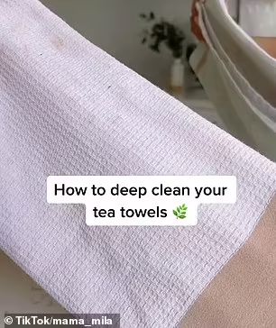 Chantel Mia's DIY tea towel cleaner | Daily Mail Online Deep Clean Towels In Tub, Diy Tea Towels, Diy Dish Towel, How To Bleach Whites, Deep Clean Kitchen, Mildew Stains, Tea Towels Diy, Grease Stains, Clean Towels