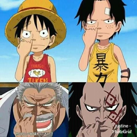 One Piece Theme, Action Figure One Piece, One Piece Photos, Ace And Luffy, One Piece Tattoos, One Piece Meme, One Piece Ace, One Piece Funny, One Peice Anime