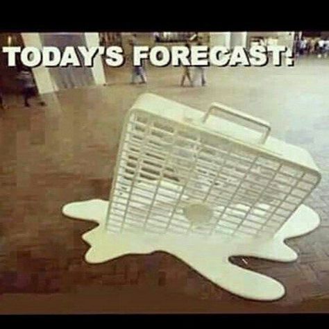 42 Hot Weather Memes That'll Help You Cool Down | SayingImages.com Hot Days Quotes, Heat Meme, Weather Jokes, Hot Weather Humor, Weather Memes, Funny Weather, Weather Quotes, Funny Cartoon Quotes, Funny Signs