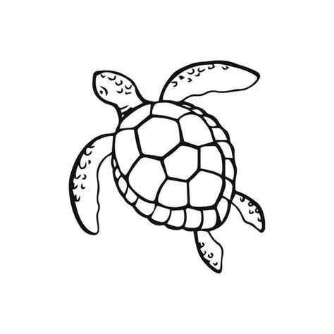 Turtle Outline, Sea Turtle Drawing, Animal Outline, Turtle Drawing, Turtle Tattoo, Apple Support, 3d Pen, Cute Turtles, Outline Drawings