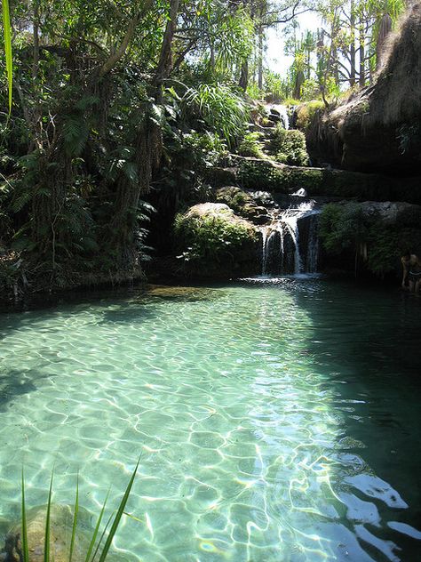 Natural swimming pool, Isalo national park, Madagascar by thor_, via Flickr Natural Swimming Pools, Natural Swimming Pool, Natural Pool, Pretty Places, Places Around The World, Blue Water, Vacation Spots, Dream Vacations, Madagascar