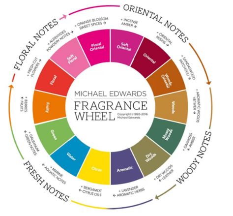 Michael Edwards Fragrance Wheel - different scents Fragrance Wheel, Artisan Perfume, Demeter Fragrance, Fragrance Library, Perfume Recipes, Scentsy Fragrance, Homemade Soap Recipes, Citrus Oil, Diy Essential Oils