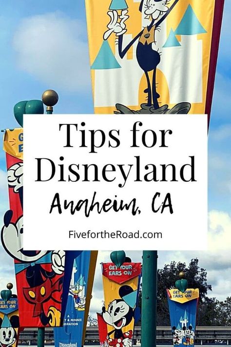 Disneyland In 1 Day, Disneyland California Trip Planning, Disneyland Outfits California, Disney World Toy Story Outfit, Disneyland Hacks 2023, Disneyland Trip Planning 2024, Disneyland Park California, Disneyland Ideas, Disneyland 2024