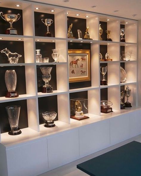 Trophy Stand Design, Wall Trophy Display Ideas, Trophy Case Aesthetic, Trophies Display Ideas, Trophy Cabinet Ideas, Display Awards Ideas, Awards Display Wall Offices, Office Trophy Display Ideas, Awards Wall Display Ideas