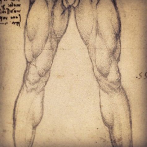 17 Diagrams That Will Help You Draw (Almost) Anything  Draw Male Reference Photos, Muscle Drawing, Long Layered Bob Hairstyles, Cute Medium Haircuts, Straight Long Bob, Bobbed Hairstyles With Fringe, Muscle Legs, Leg Anatomy, Leg Muscle