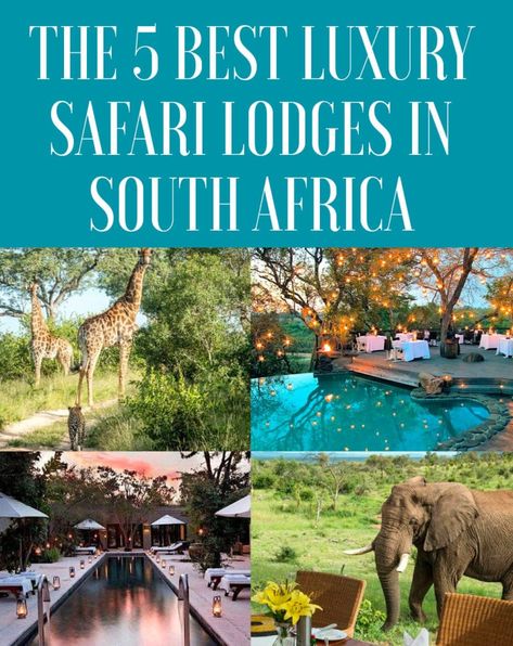 The 5 Best Luxury Safari Lodges in South Africa - JetsetChristina November Honeymoon, Africa Safari Lodge, South Africa Honeymoon, Lodges South Africa, African Safari Lodge, South Africa Vacation, African Vacation, Africa Honeymoon, Africa Vacation