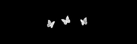 Butterflies, Books, Books Wattpad, Wattpad, White