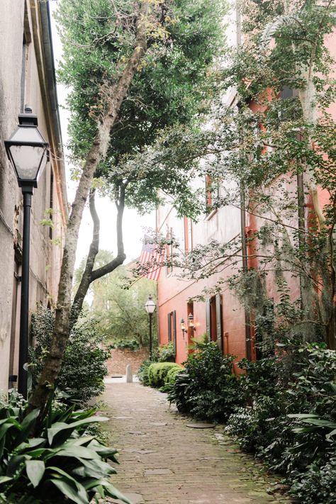 Charleston Aesthetic Vintage, Charleston Vibes, Charleston Sc Photography, Charleston Sc Aesthetic, White Point Gardens Charleston, Charleston Sc Aesthetic Wallpaper, Charleston Aesthetic, Downtown Charleston Sc Aesthetic, Charleston South Carolina Vacation