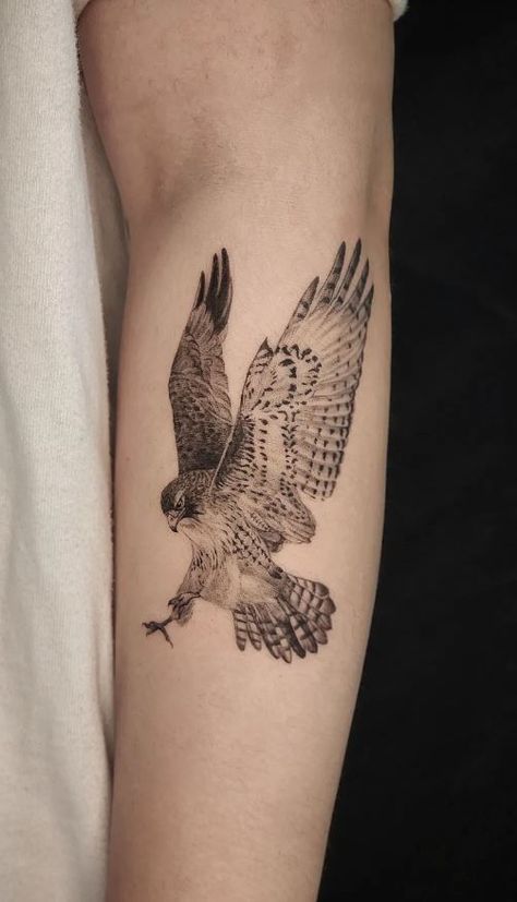 Men Hawk Tattoo, Hawk Fine Line Tattoo, Geometric Bird Tattoo Design, Cooper Hawk Tattoo, Sparrow Hawk Tattoo, Protector Tattoo Women, Hawk Tattoo Women, Feminine Hawk Tattoo Beautiful, Hawk Face Tattoo