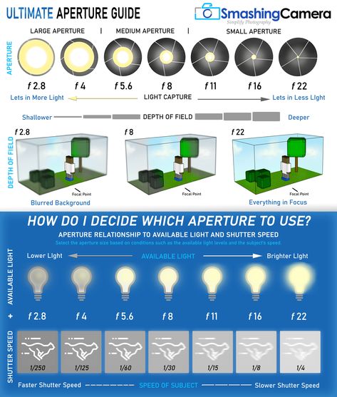 Trying to better understand Apertures? Unsure of when to use a Large Aperture or when to use a Small Aperture? Use our Ultimate Aperture Guide to better understand the relationship of Shutter Speed and the available light. We help make it easy to select the correct Aperture setting so you get the correct exposure for your images. Aperture Depth Of Field, Alevel Photography, Photography Notes, Guide Infographic, Camera Aperture, Aperture Photography, Aperture Settings, Aperture And Shutter Speed, Vintage Lightroom Presets