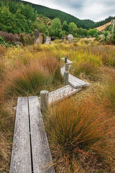 Tai Tapu Sculpture Garden: A couple's one-hectare paddock is now bursting with art and native plants Japanese Garden Path, Wetland Garden, Lakeside Garden, Landscape Sculpture, Pine Garden, Play Garden, Floating Garden, Wooden Walkways, Native Plant Gardening