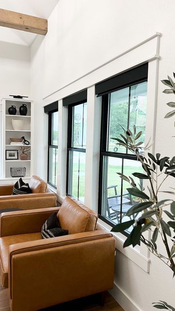 Blinds Only Living Room, Black Motorized Blinds, Black Shades With White Curtains, Black Windows With Roller Shades, Black Window Window Treatments, Roman Shades Black Windows, Black Window Shades Roller Blinds, Black Window Trim Interior With Blinds, Curtains On Black Windows