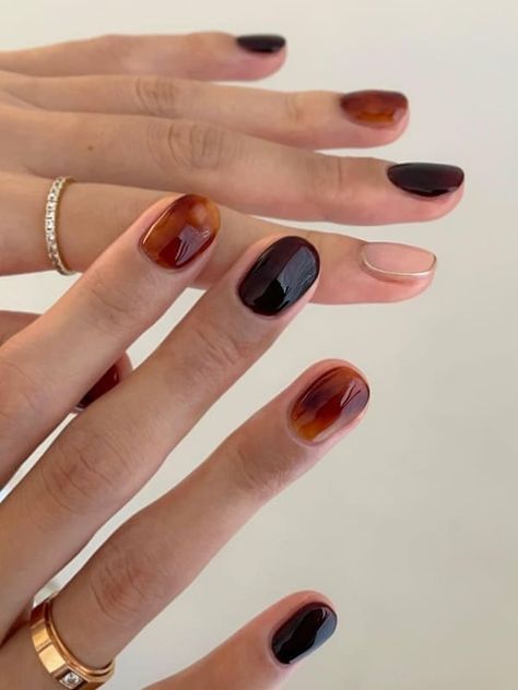 fall Korean black nails: black and tortoise Black Nails Short, Idol Nails, Rock Nails, Subtle Nails, Korean Nails, Minimal Nails, Festival Nails, Minimalist Nails, Fabulous Nails