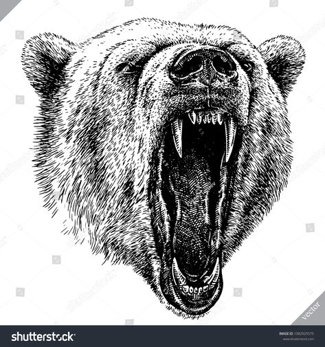 black and white engrave isolated bear vector illustrationengrave#white#black#isolated Bear Vector Illustration, Grizzly Bear Tattoos, Glass Reference, Black Bears Art, Bear Sketch, Bear Tattoo Designs, Angry Bear, Monogram Logos, Bear Vector