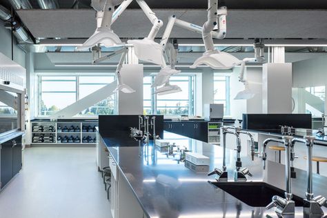 Science Lab Design, Technology Room, School Science Lab, Science Building, Lab Science, Science Room, Laboratory Design, Middle School Science Experiments, Science Labs