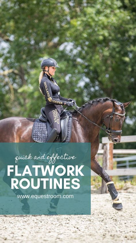 Horse Riding Flat Work Exercises, Stretches For Equestrians, Horse Strengthening Exercises, Riding Exercises For Horses, Horse Conditioning Plan, Equestrian Flat Work Exercises, Flatwork Exercises For Horses, Horse Stretching Exercises, Horse Riding Exercises Flatwork