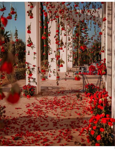 Roses From Ceiling Wedding, Rose Petals On The Floor, Romantic Courtyard Wedding, Hanging Red Roses, Red Roses Hanging From Ceiling, Rose Garden Wedding Theme, Roses From Ceiling, Roses Hanging From Ceiling, Rose Petal Proposal