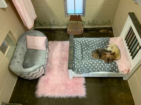 Puppies Bed Ideas, Aesthetic Dog Bed Ideas, Dog Sleep Area, Pink Dog Room, Dog Corner Ideas Bedroom, Dog Bedroom Ideas Small Spaces, Dog Bed Ideas For Bedroom, Puppy Bed Ideas, Dog Setup In Bedroom