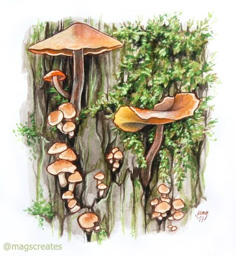 Moss Art Drawing, Moss Drawing Tutorial, Gouache Mushroom Painting, How To Draw Moss, Aesthetic Mushroom Art, Watercolor Moss, Moss Drawing, Moss Illustration, Watercolour Mushroom